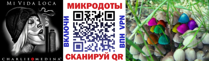 как найти наркотики Покровск Галлюциногенные грибы Magic Shrooms